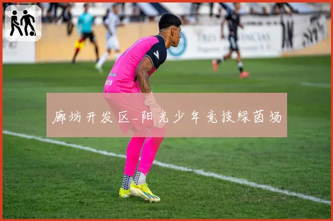 廊坊开发区_阳光少年竞技绿茵场