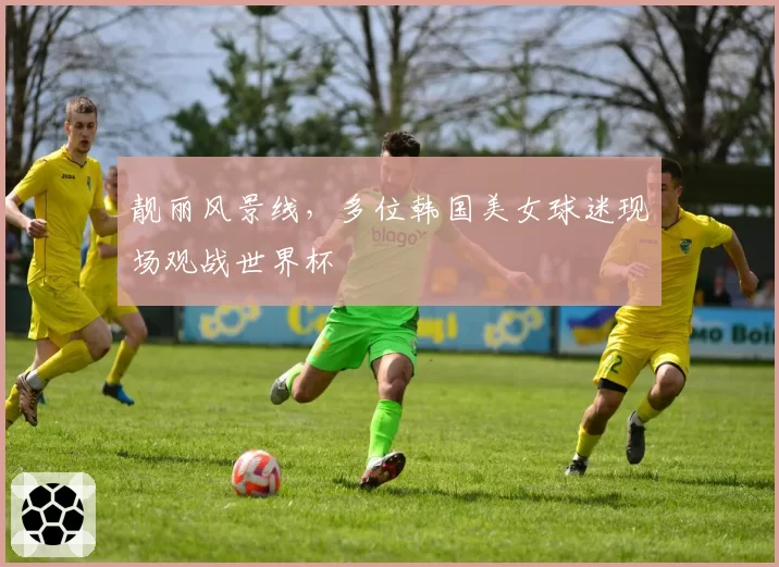 靓丽风景线,多位韩国美女球迷现场观战世界杯