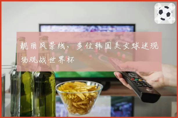 靓丽风景线,多位韩国美女球迷现场观战世界杯